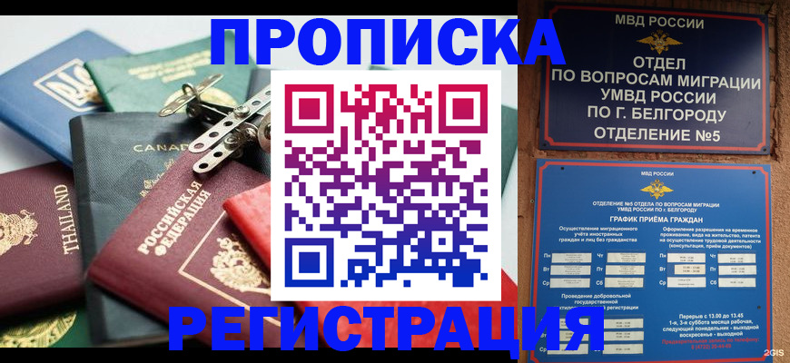 временная регистрация недорого в Губкине